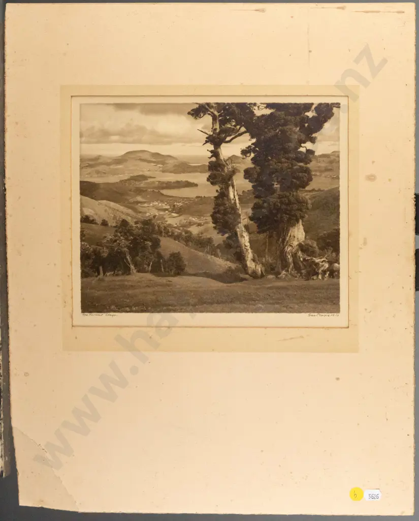 unframed George Chance black and white photograph "The Harbour Otago" H-205 W-255 Image 1++