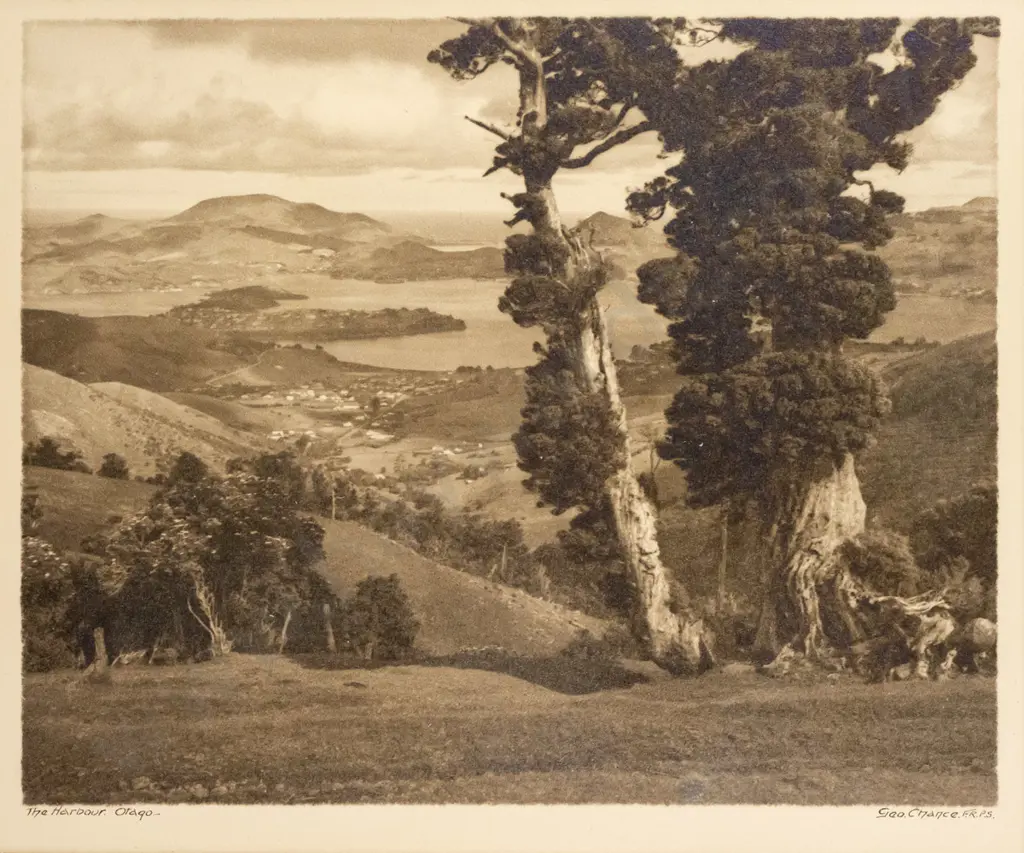 unframed George Chance black and white photograph "The Harbour Otago" H-205 W-255 Image 1++