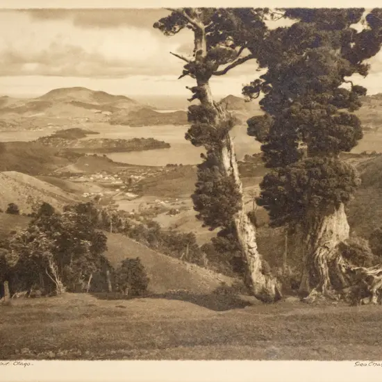 unframed George Chance black and white photograph "The Harbour Otago" H-205 W-255