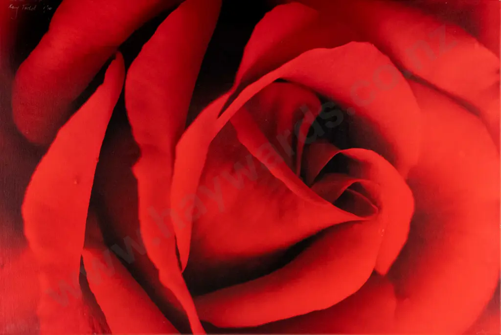 Kay Todd - boxed photographic print 1/10 - red rose H-650 W-440 Image 1++