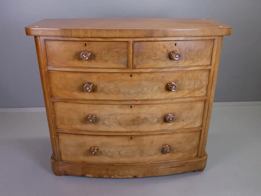 Victorian mahogany bow-front 5-drawer chest - wooden knobs w/mother of pearl inlay - some veneer damage and fading H1070 Image 1++