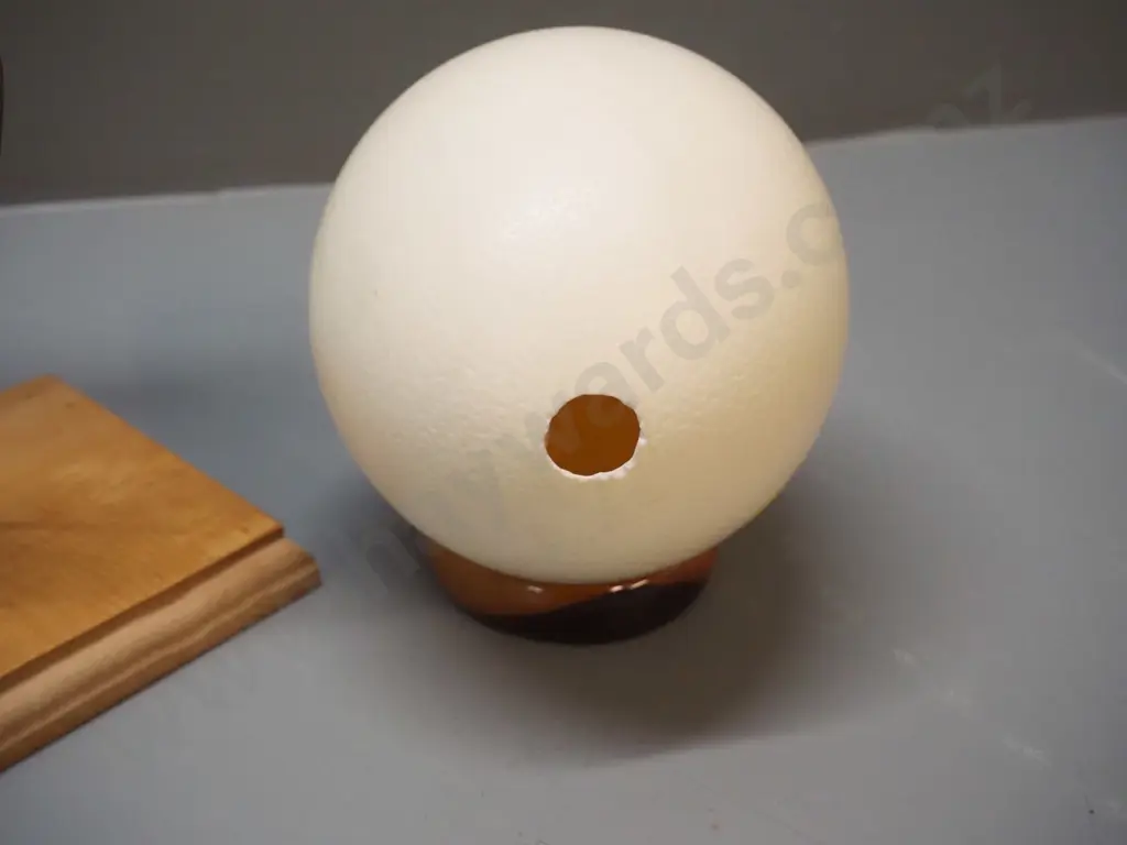 ostrich egg with wooden stand and a flying bird figure made of horn on a wooden stand H-310 Image 1++