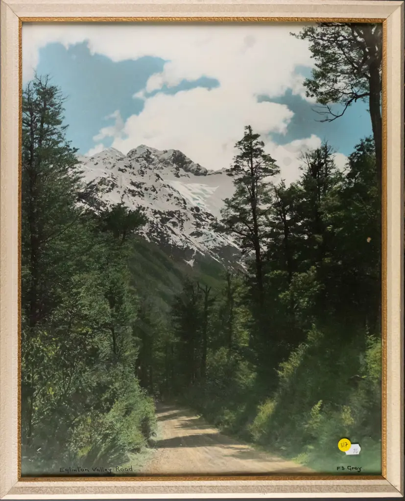 FS Gray - framed hand coloured photograph "Eglinton Valley Road" H-500 W-390 Image 1++