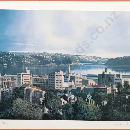 framed Grahame Brinsley ltd edition print 176/450 "Dunedin" H-355 W-555 (framing needs attention)