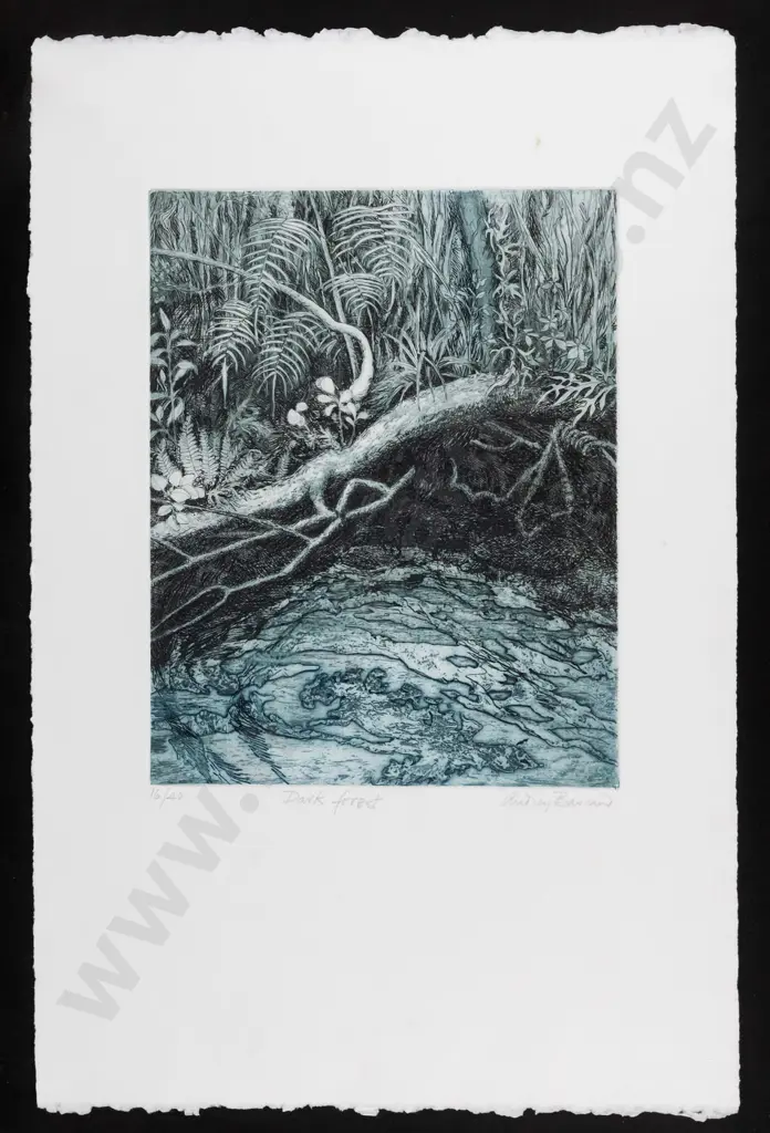 Audrey Bascand - framed ltd edition print 16/40- "Dark forest" H-320 W-250 Image 1++