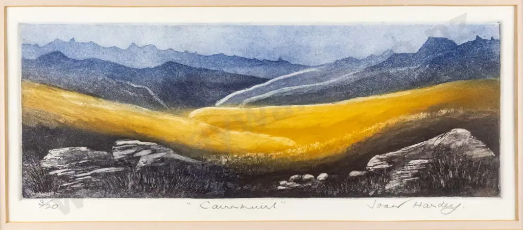 Joan Hardey -framed etching & aqua tint 3/20- "Cairnmuris" H-120 W-320 Image 1++