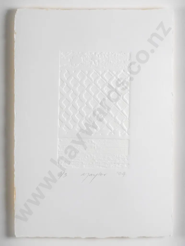 Lynn Talylor 2004 -framed embossed paper 3/3- abstract H-100 W-60 Image 1++