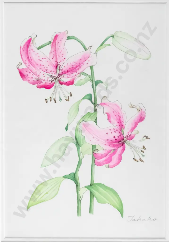 Takako -framed watercolour- "Kanoko Yuri" H-230 W-150 Image 1++