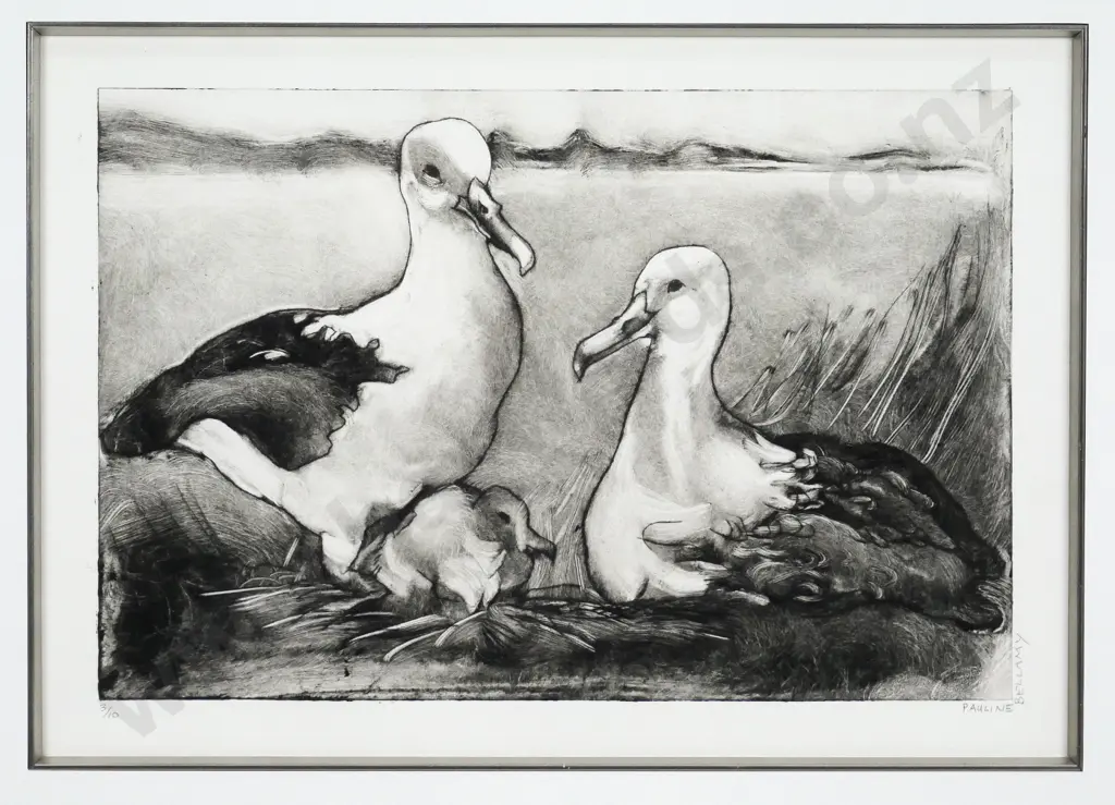 Pauline Bellamy framed ltd edition print 3/10  Albatrosses  H-170 W-350 Image 1++