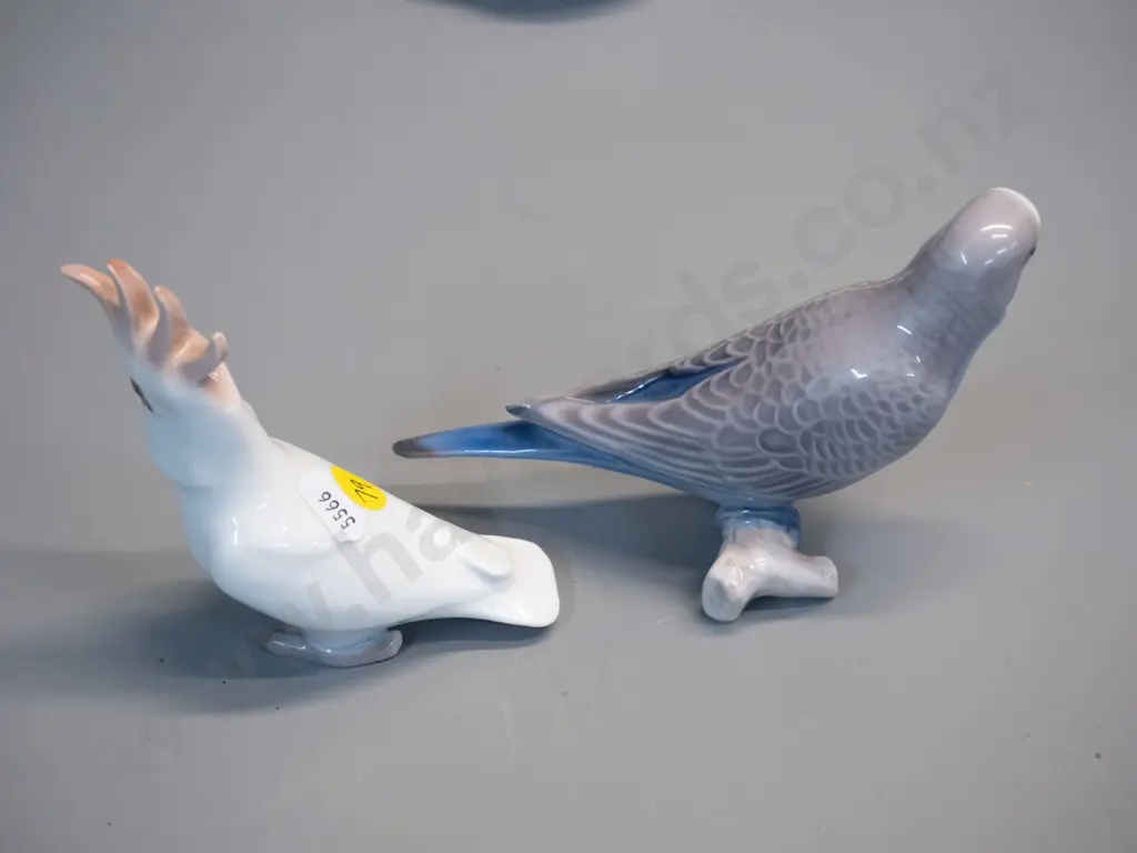 2 Bing & Grondahl bird figures - budgie H-90 L-140 and cockatiel Image 1++