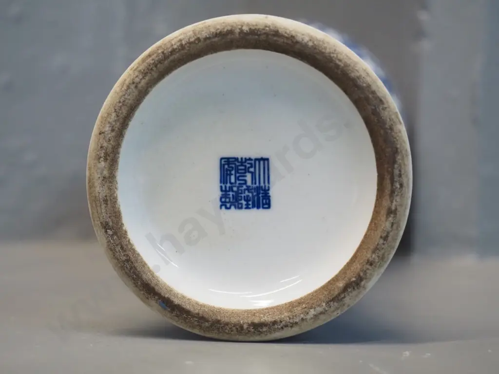 pair of bulbous shape, narrow mouth Asian blue and white vases H - 320 Image 1++