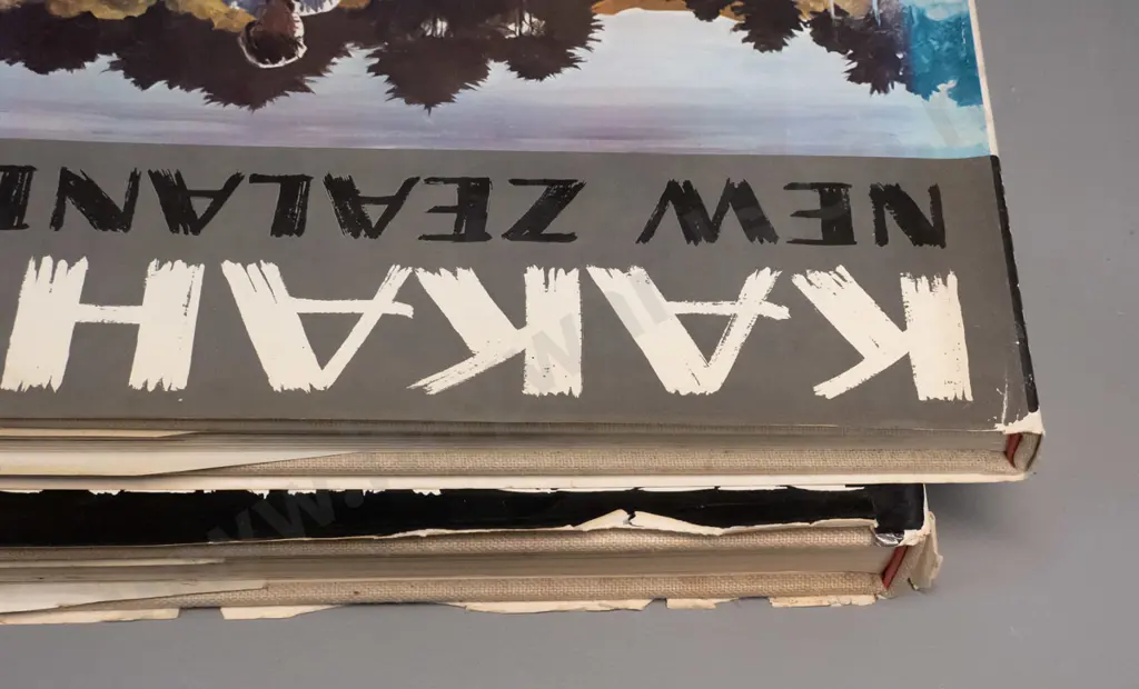 2 Peter McIntyre art books - "Kakahi New Zealand" 1972 and "West" 1970 - wear to dust jackets Image 1++