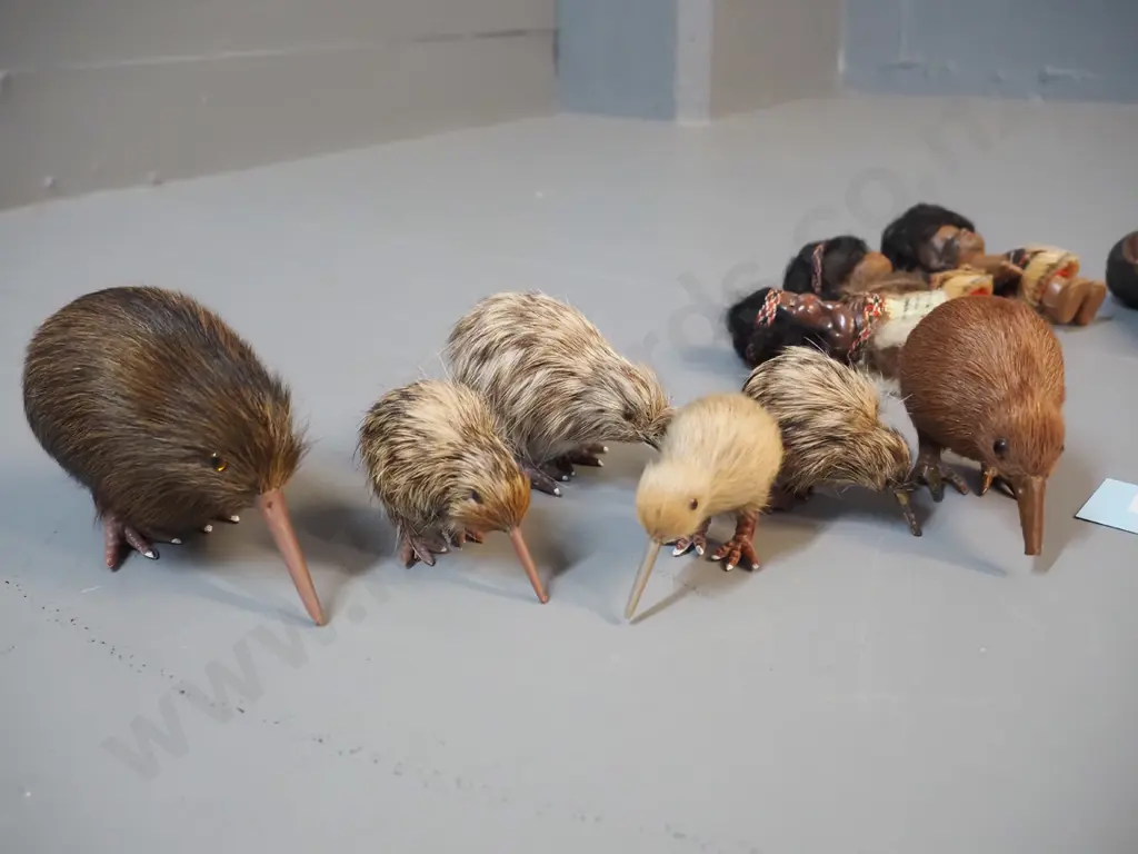 collection of small plastic souvenir Maori theme dolls and kiwi birds, with fur and/or feather adornment - one doll has Image 1++