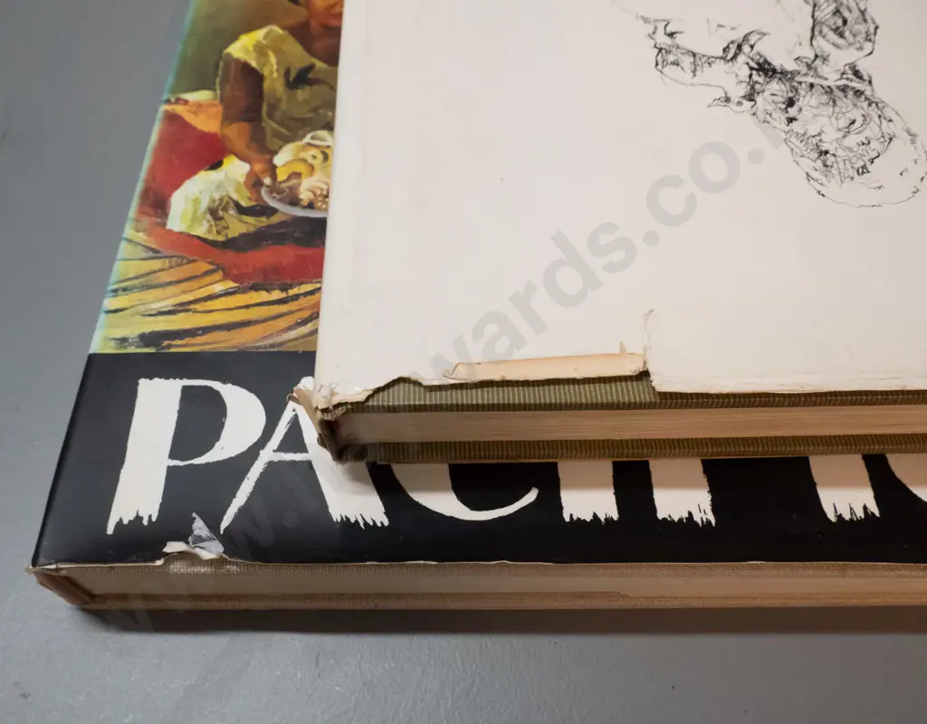 2 Peter McIntyre art books - "McIntyre's New Zealand" 1964 and "Pacific" 1966 - wear to dust jackets Image 1++