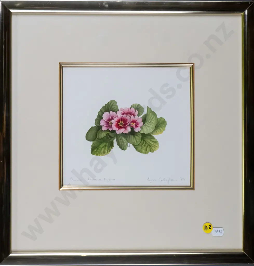 Lynn Callaghan '89 - framed watercolour - primula H-170 W-180 Image 1++