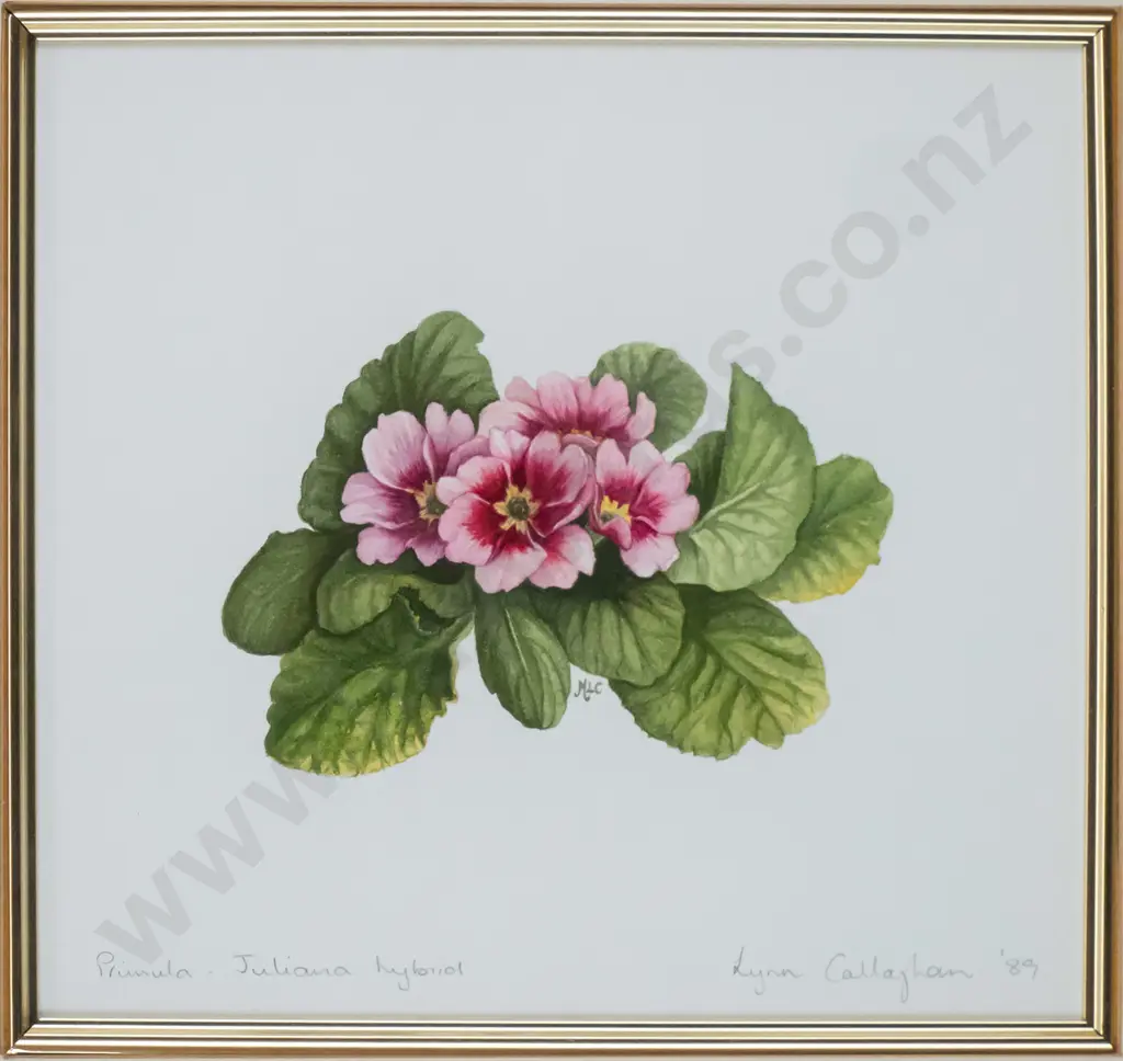 Lynn Callaghan '89 - framed watercolour - primula H-170 W-180 Image 1++