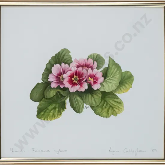 Lynn Callaghan '89 - framed watercolour - primula H-170 W-180