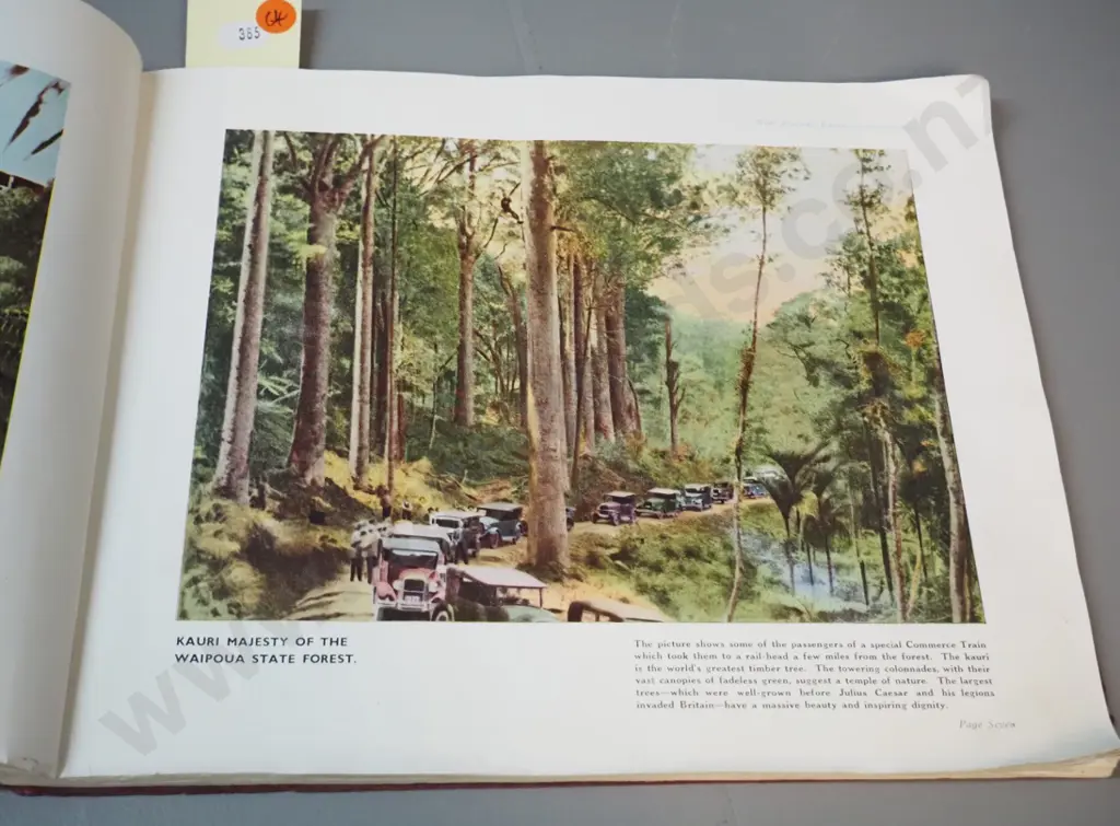 1937 New Zealand Railways scenic publication - cover in poor condition, some pages separated or damaged, images mostly Image 1++