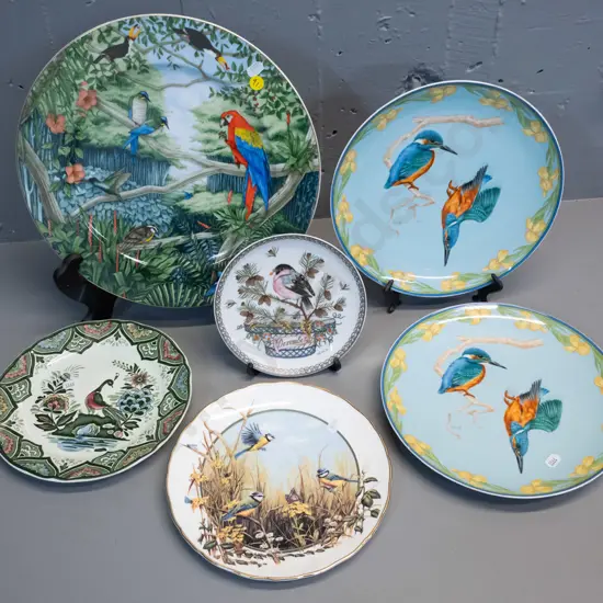 6 bird-themed cabinet plates - 5 German, one Franklin Mint, including large Rosenthal tropical birds D-310