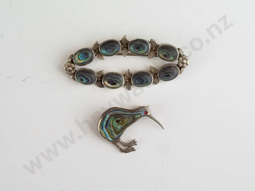 2 paua shell brooches Image 1++