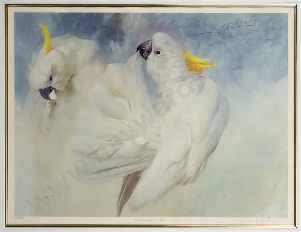 framed and signed Raymond Ching ltd edition print "Sulphur-crested Cuckatoos" H-370 W-500 Image 1++