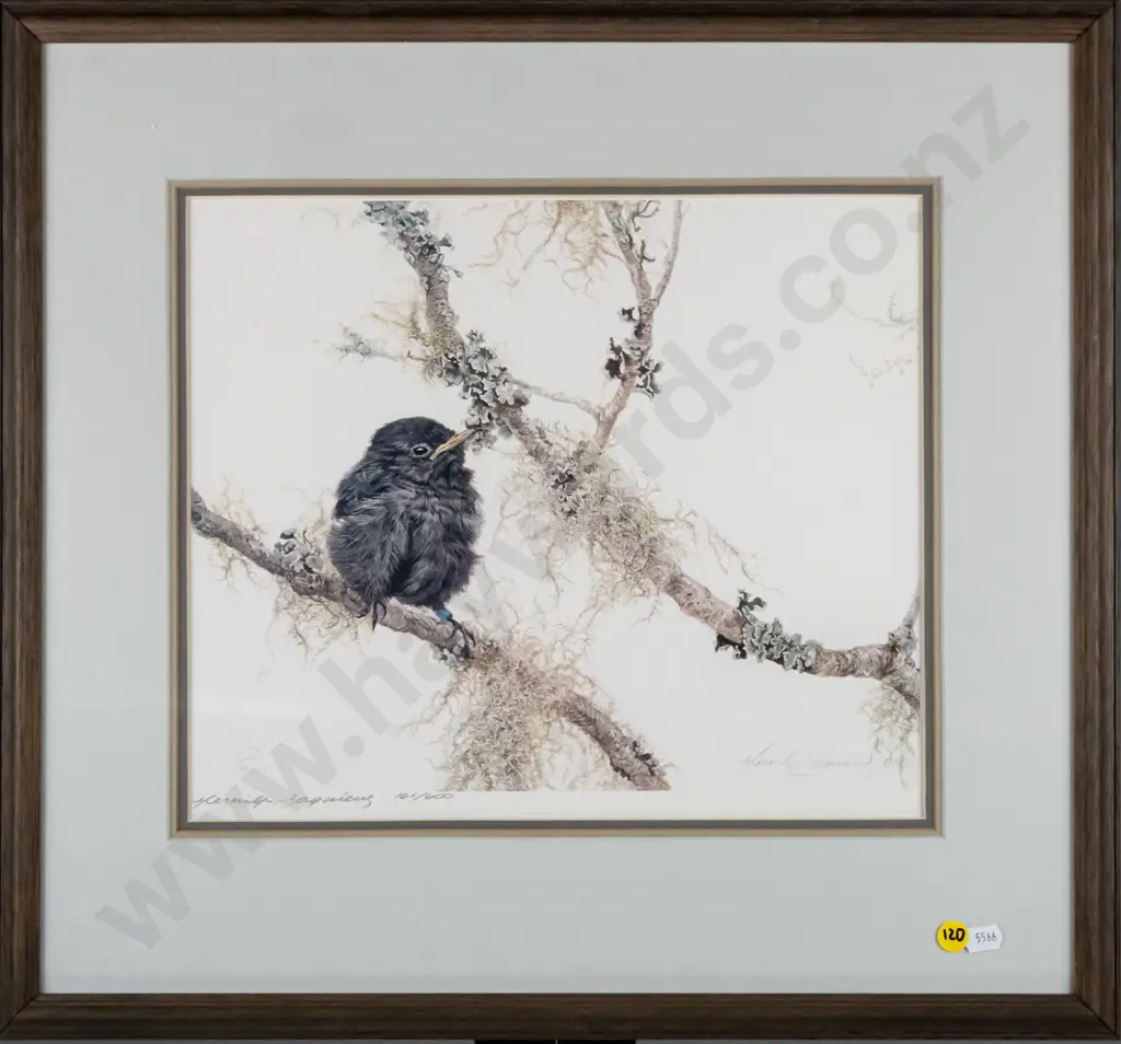 framed ltd edition Merrilyn Jaquiery print 161/600 - bird H-280 W-340 Image 1++