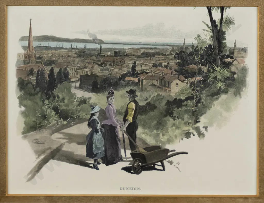 framed hand coloured vintage engraving - Dunedin H-140 W-180 Image 1++