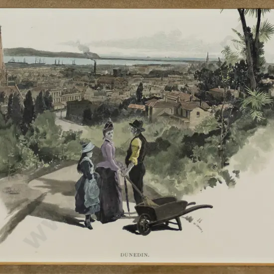 framed hand coloured vintage engraving - Dunedin H-140 W-180
