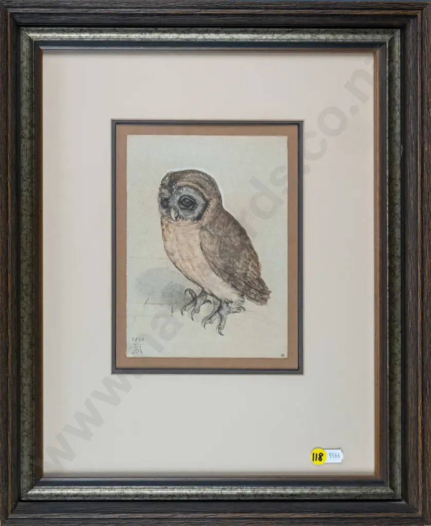 framed Durer print - owl H-190 W-140 Image 1++