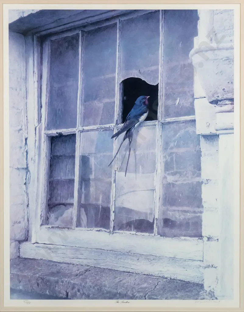 framed and signed Raymond Ching ltd edition print 237/850 "The Swallow" H-650 W-500 Image 1++