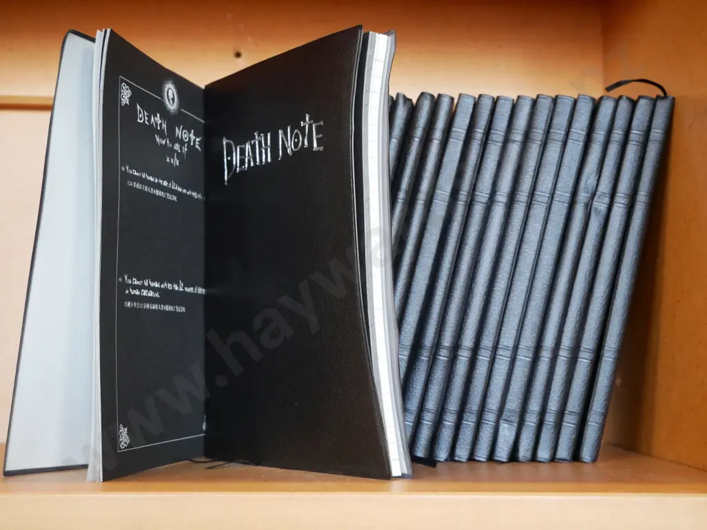 Death Note notebooks Image 1++