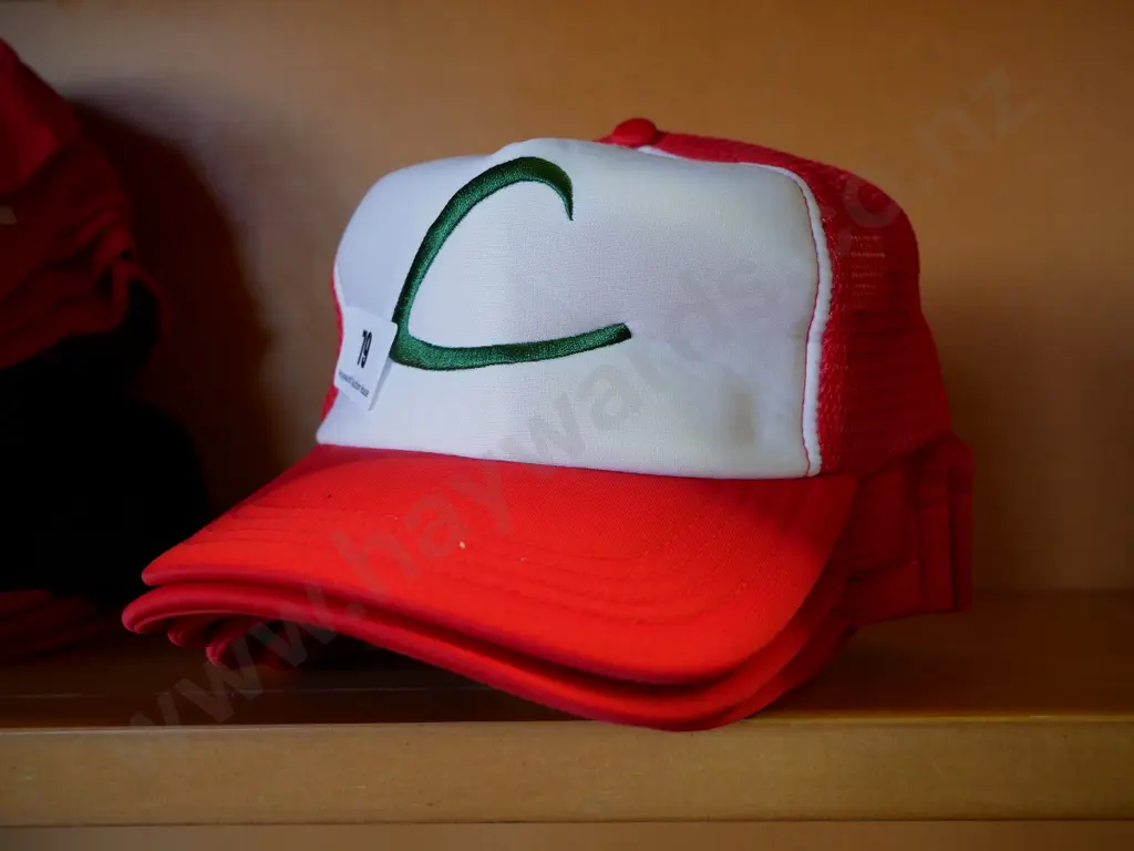 Pokemon hats Image 1++