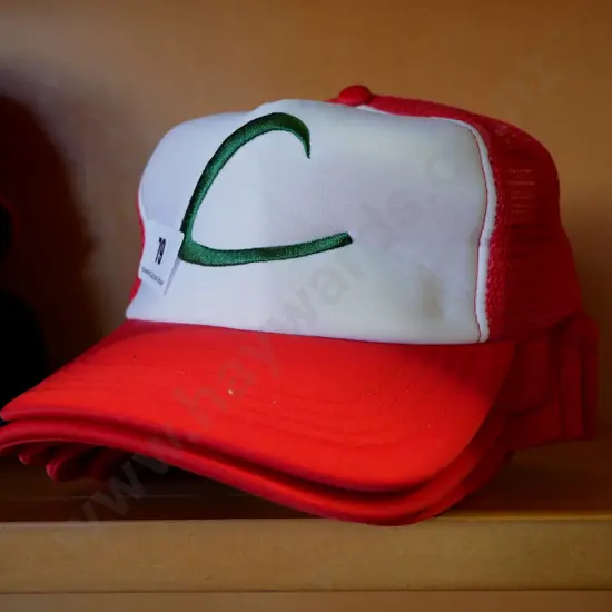 Pokemon hats