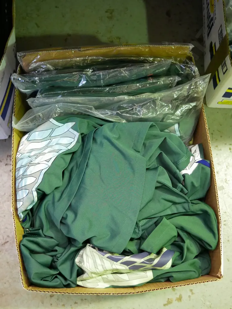 box of Attack On Titan capes Image 1++