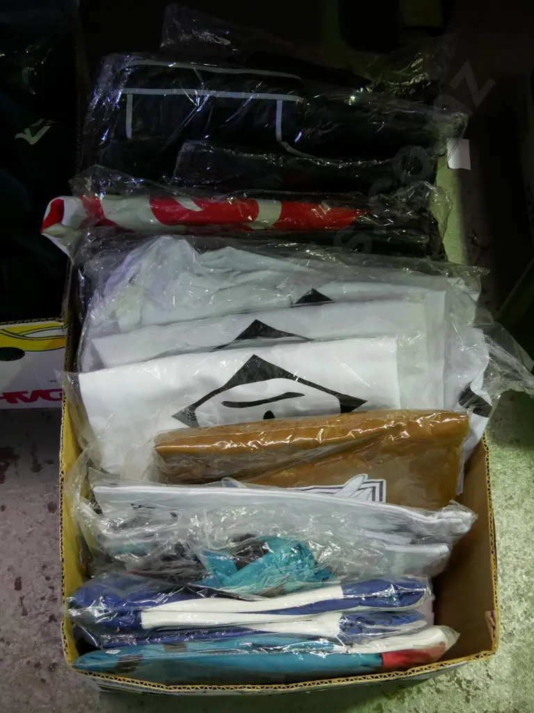 box of assorted unopened costumes Image 1++