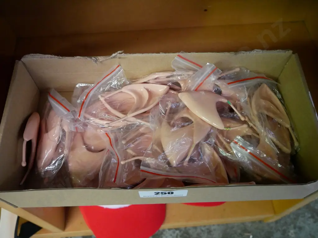 box of pixie ears Image 1++