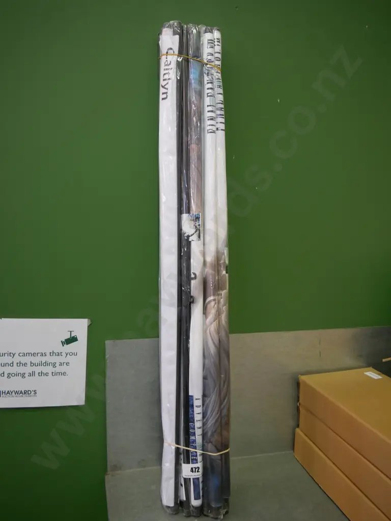 bundle of 10 wall hanging prints on scrolls Image 1++