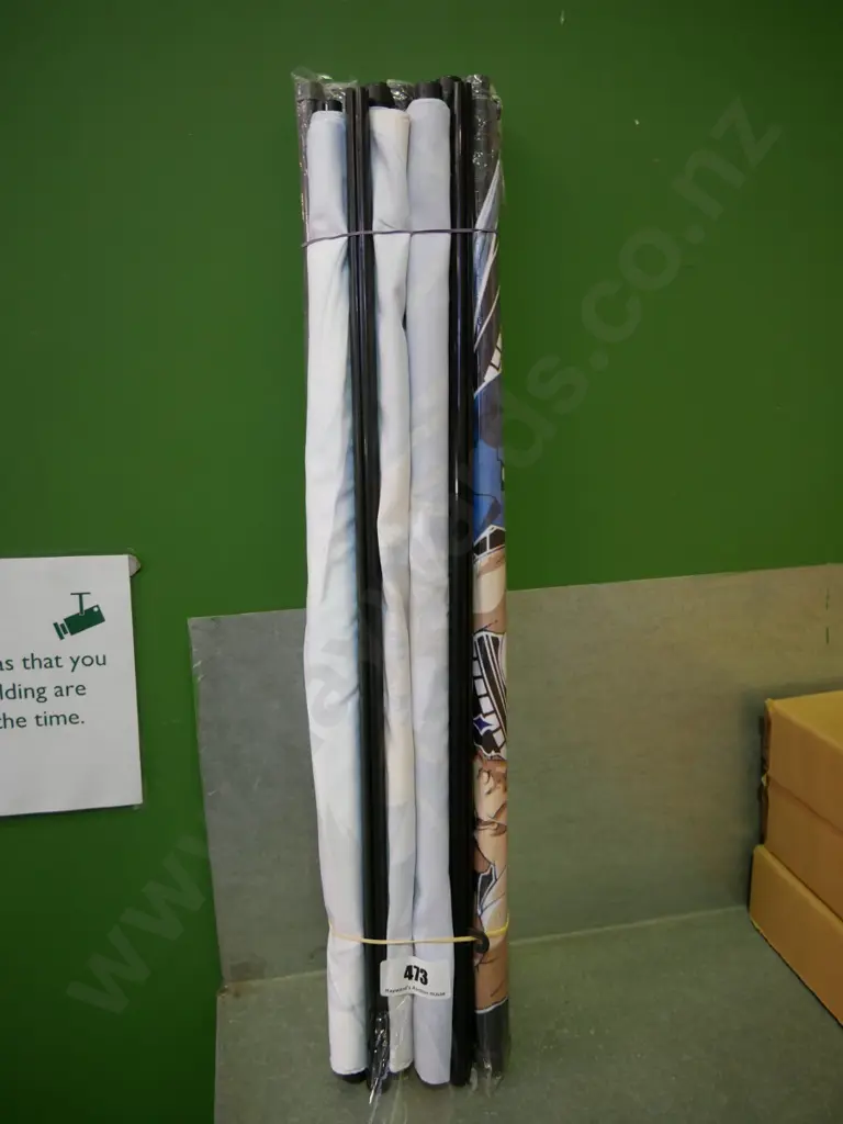 bundle of 10 wall hanging prints on scrolls Image 1++