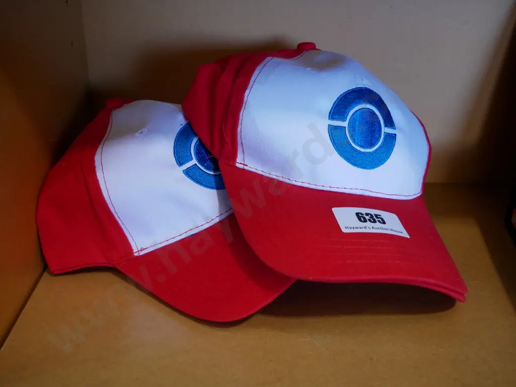 Pokemon hats Image 1++