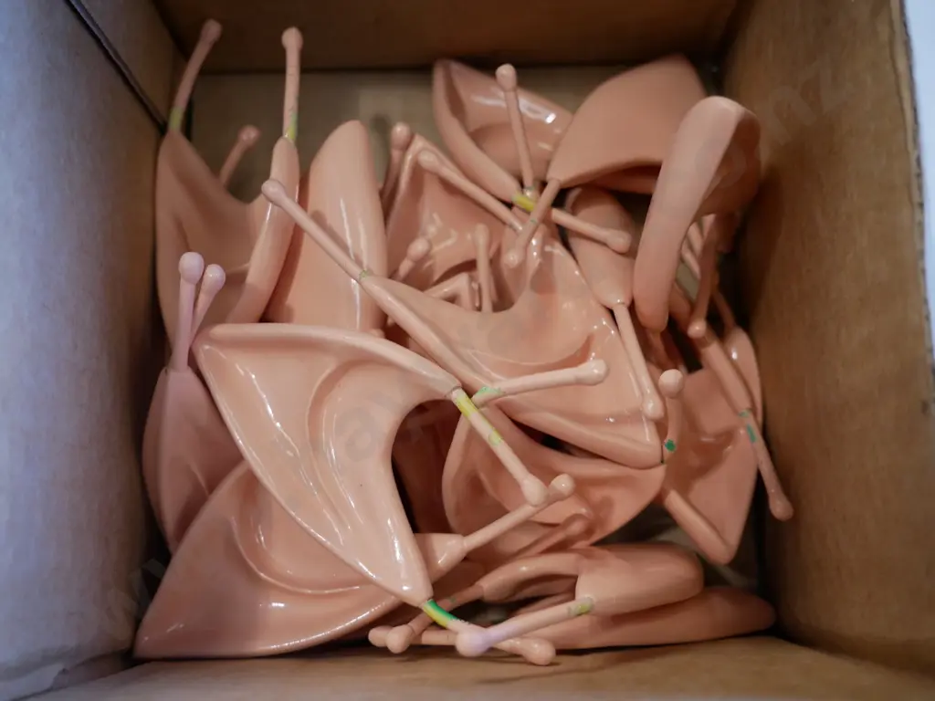box of pixie ears Image 1++