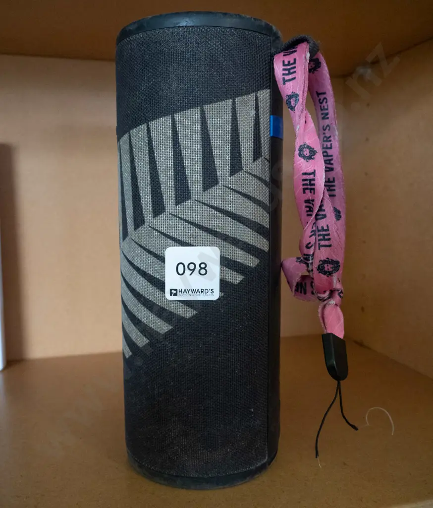 Portable blue tooth speaker with silver fern decoration Image 1++