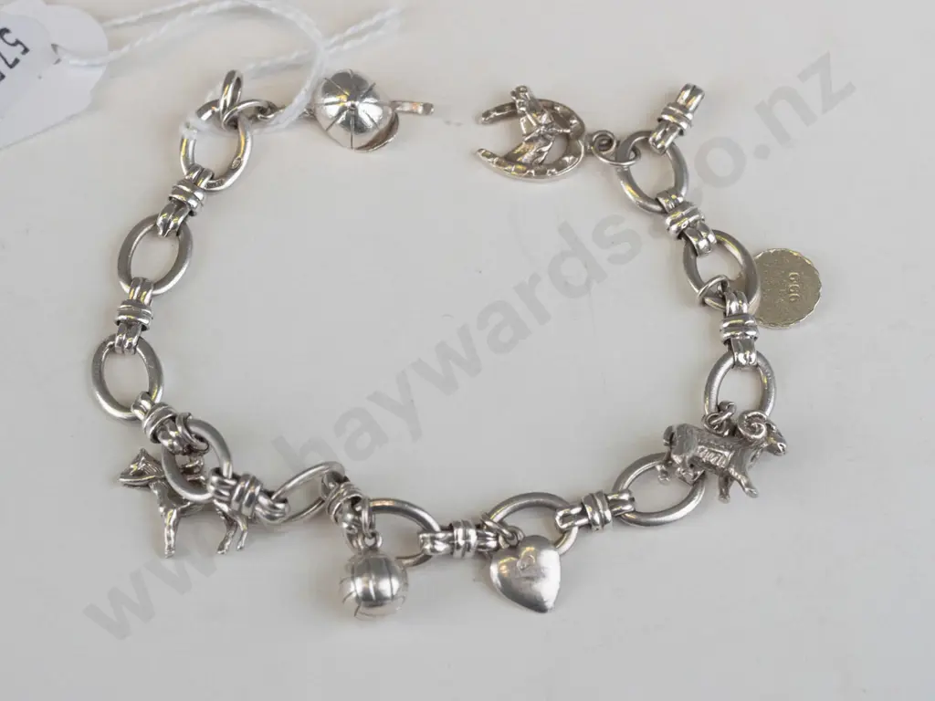 Silver wrist chain with attached items Image 1++