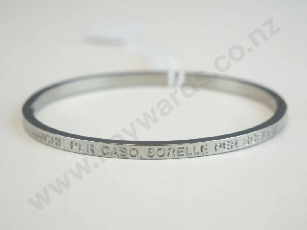 Bangle silver 'Friends by chance sisters by choice' Image 1++