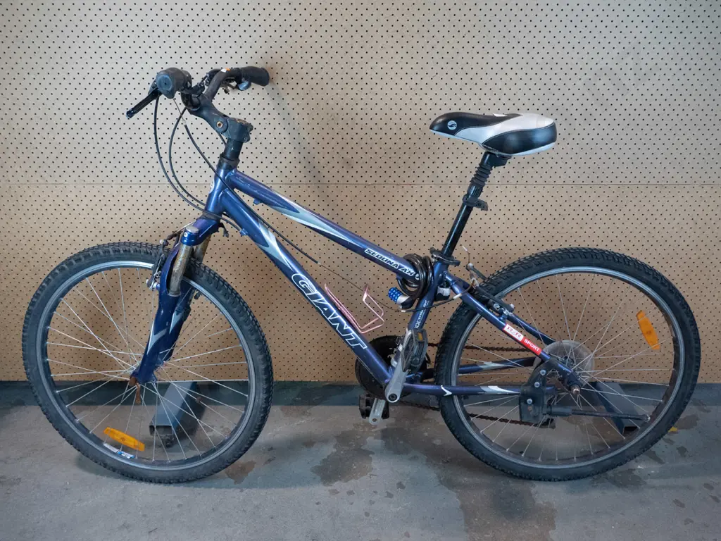 Purple Giant MTB  Image 1++