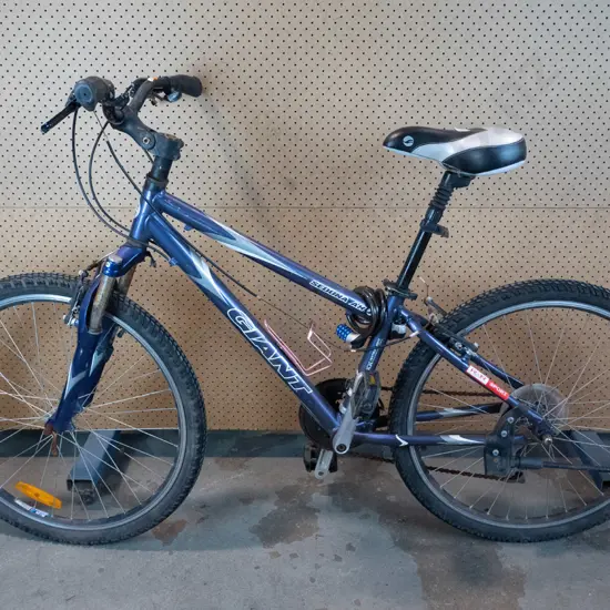 Purple Giant MTB 