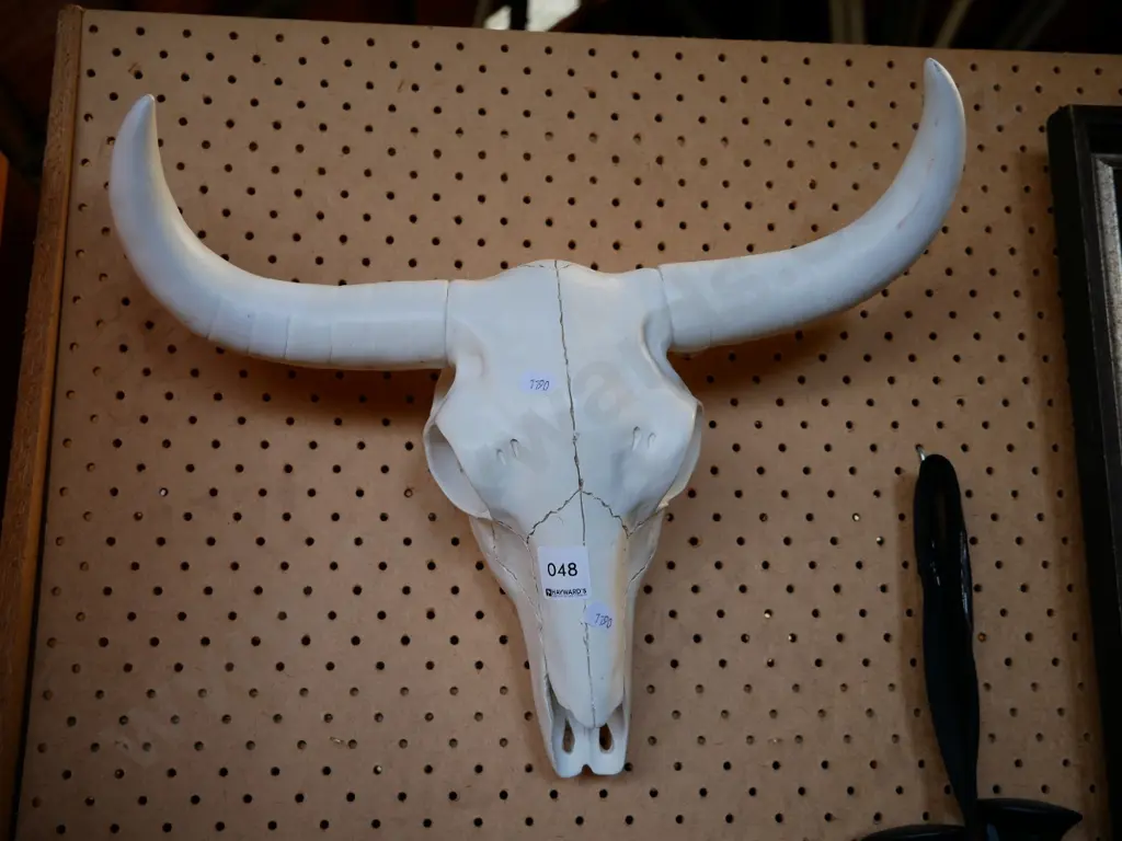 composite skull and horns Image 1++