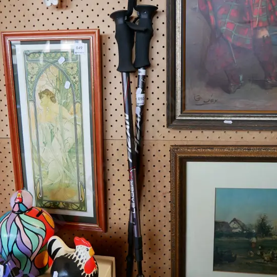 2 Nordic walking poles