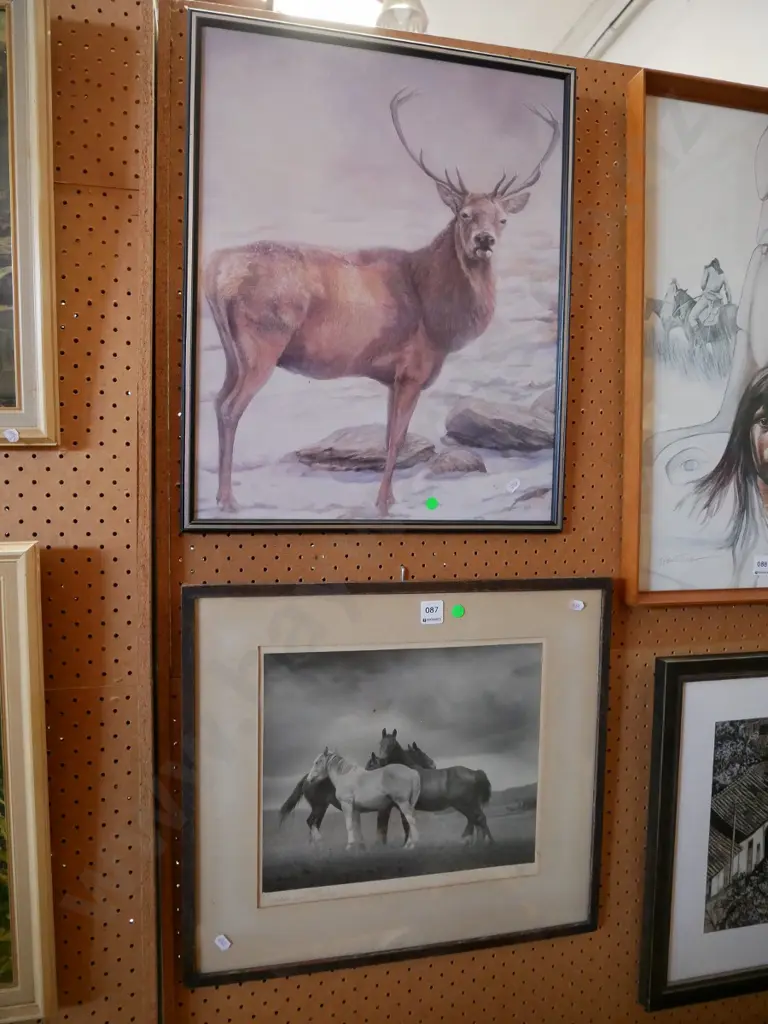 framed stag print and framed photograph - horses - green dots Image 1++