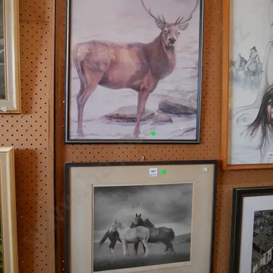 framed stag print and framed photograph - horses - green dots
