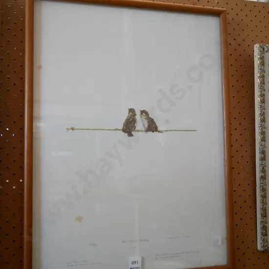 framed limited edition Raymond Ching print - House Sparrow Fledglings - some foxing